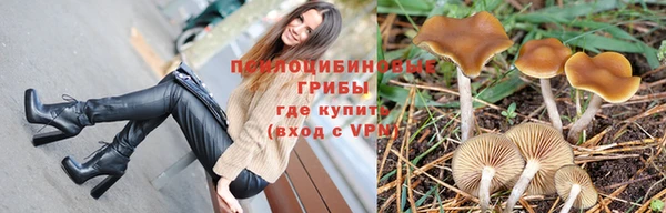 мдпв Богородск