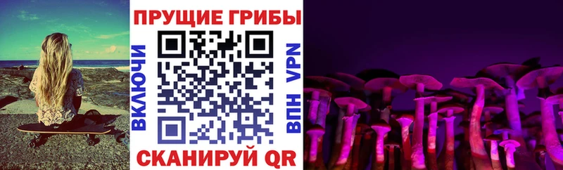 Псилоцибиновые грибы прущие грибы  дарнет шоп  Кондрово 